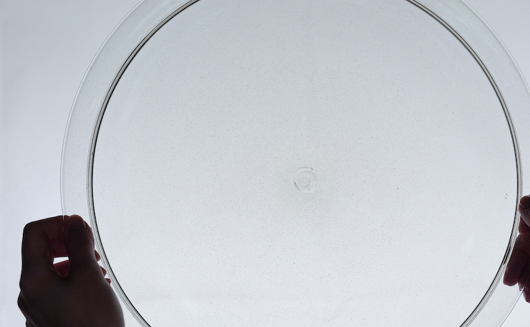 【新品】Peter Ivy リムプレート　2枚セット Global category :: Plates - Peter Ivy Flow Lab® - Official Store